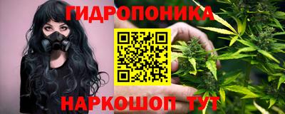 гашик Гатчина